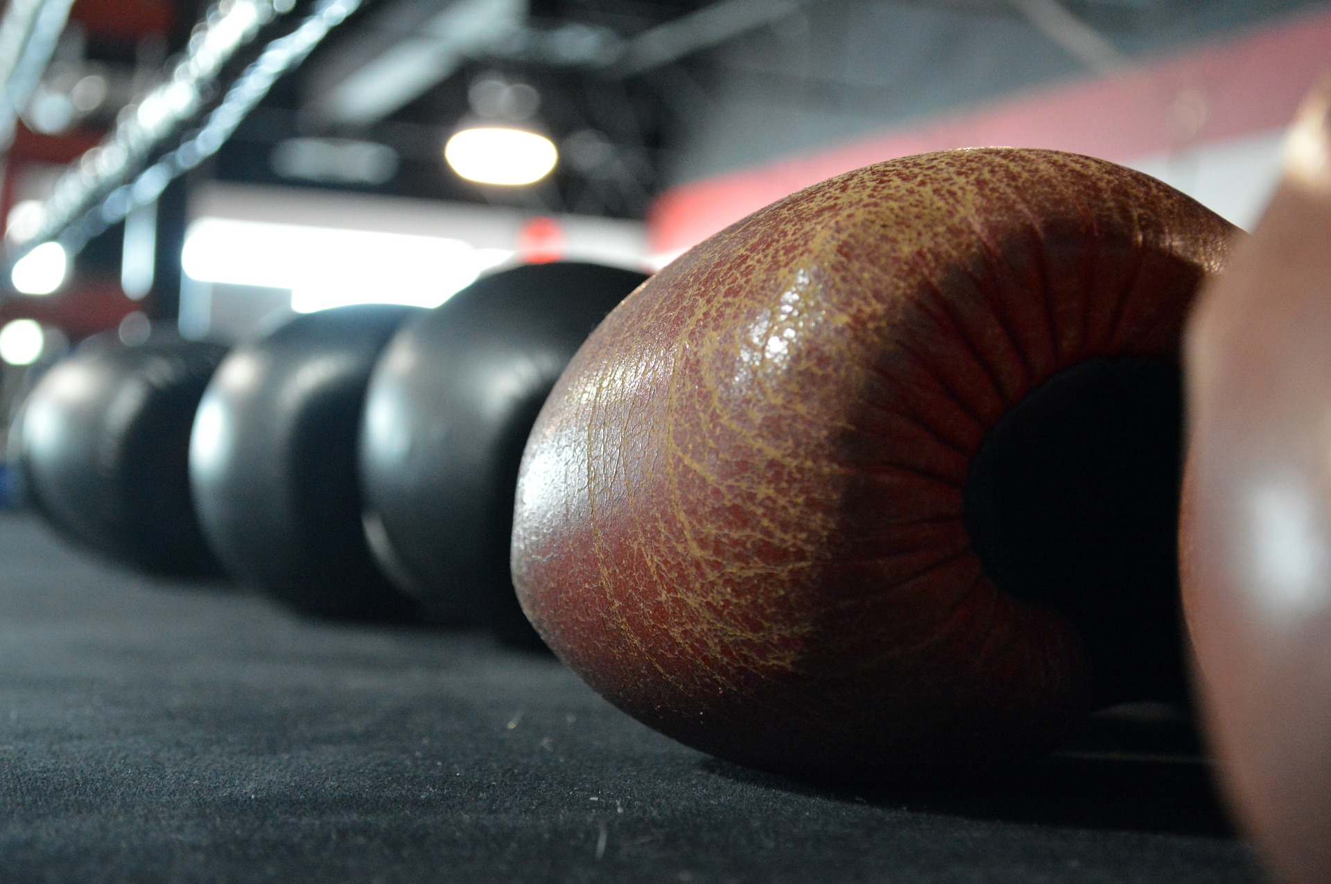 Guantoni da Boxe